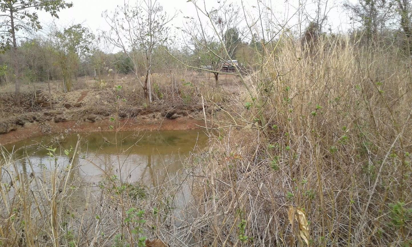 ขายทิ่ดินสวย-36-ไร่ติดทางสาธารณะ-จังหวัดสกลนค