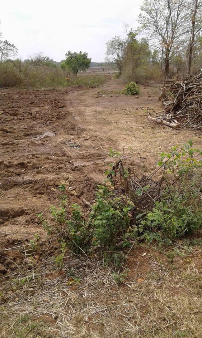 ขายทิ่ดินสวย-36-ไร่ติดทางสาธารณะ-จังหวัดสกลนค