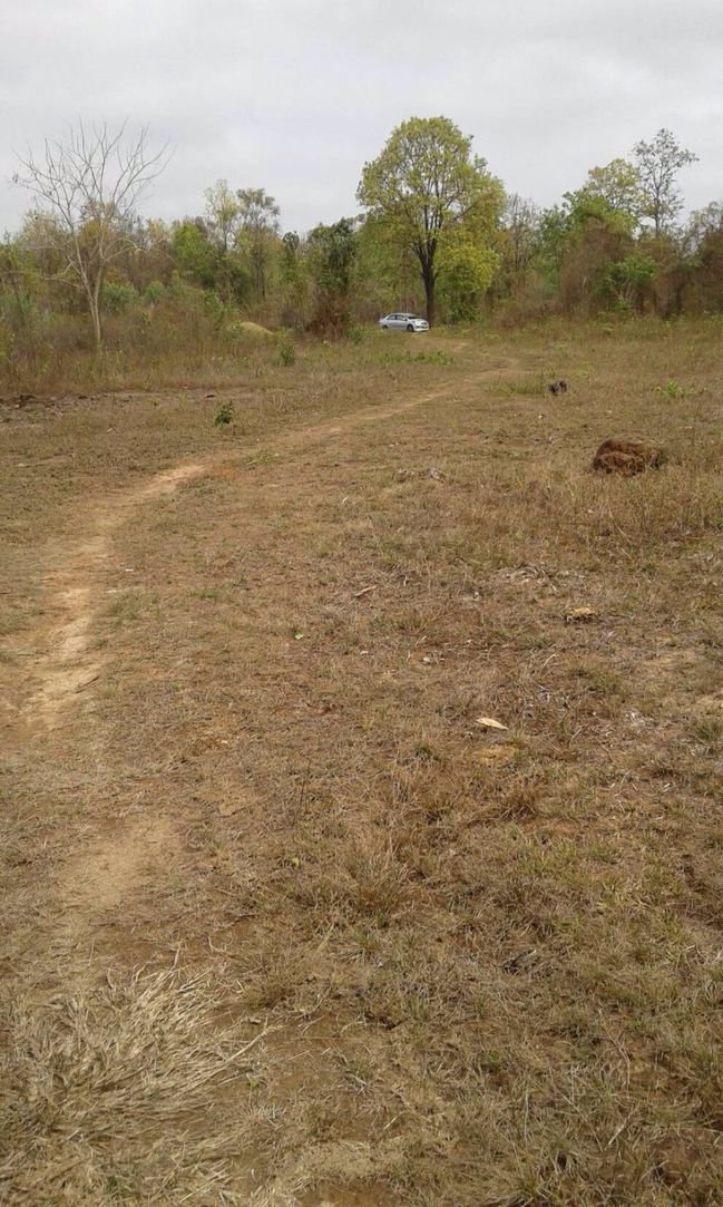 ขายทิ่ดินสวย-36-ไร่ติดทางสาธารณะ-จังหวัดสกลนค