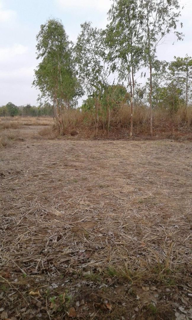 ขายทิ่ดินสวย-36-ไร่ติดทางสาธารณะ-จังหวัดสกลนค