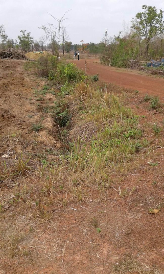 ขายทิ่ดินสวย-36-ไร่ติดทางสาธารณะ-จังหวัดสกลนค