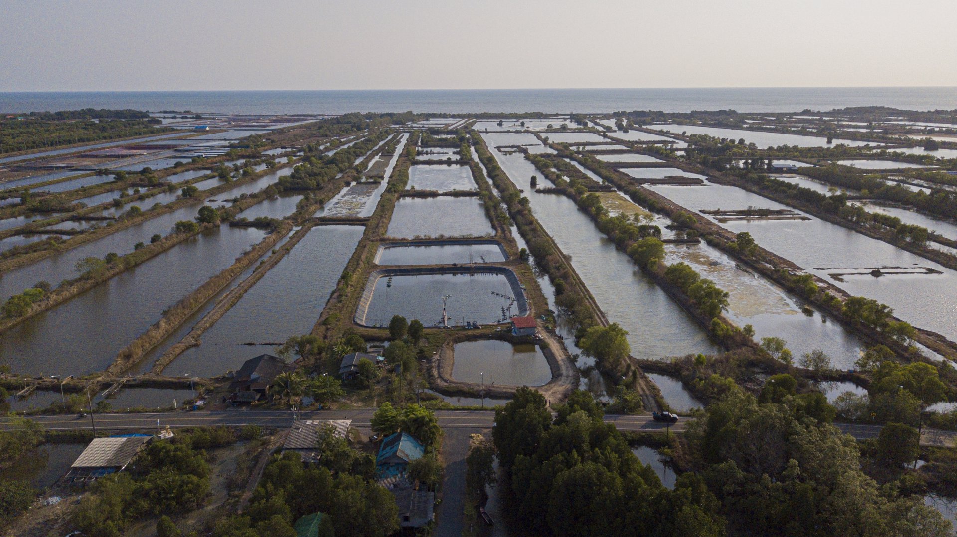 ขายด่วนที่ดินยกแปลง-51-ไร่-1-งาน-57-ตรวา-อแหลมสิงห์-จจันทบุรี-ติดทะเล