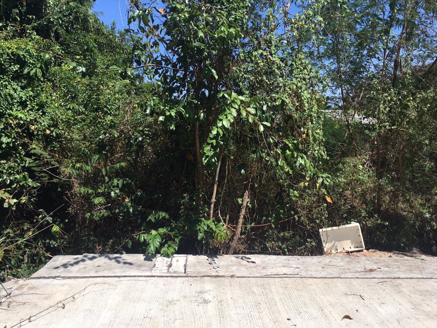 ขายด่วนที่ดินย่านมหาวิทยาลัยสบงขลานครินทร์-60-ตารางวา