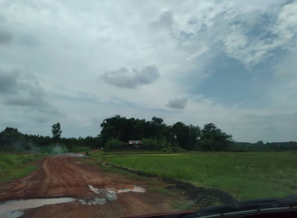 ขายที่ดินทำนาและทำสวน-19ไร่-ราคาไร่ละ99000บาท