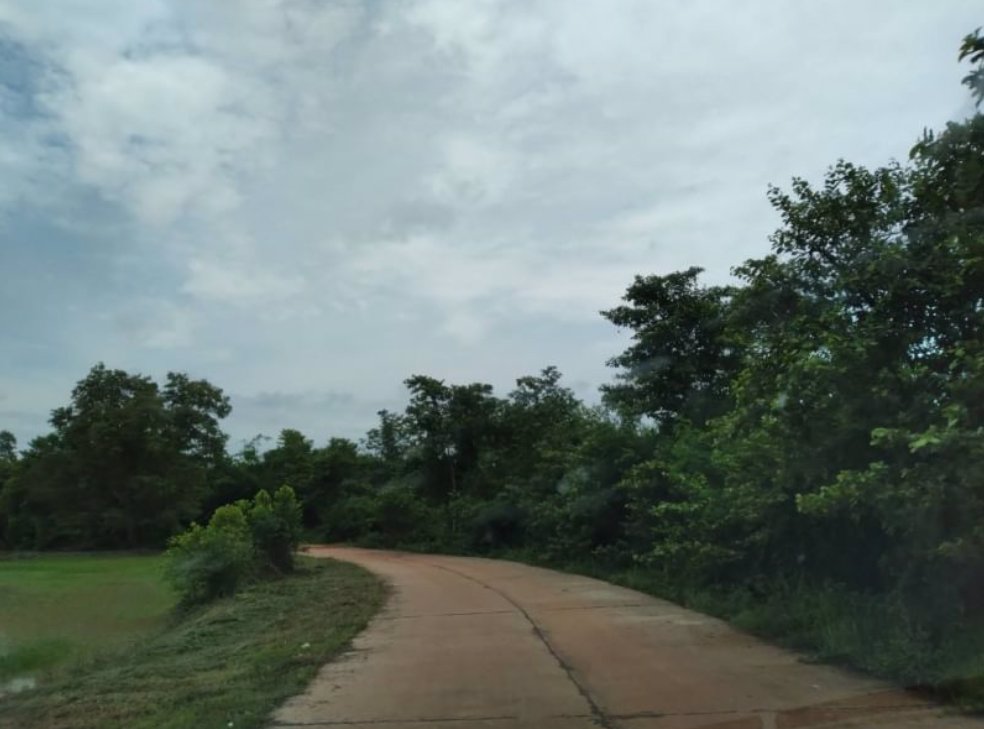 ขายที่ดินทำนาและทำสวน-19ไร่-ราคาไร่ละ99000บาท