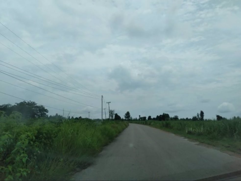 ขายที่ดินทำนาและทำสวน-19ไร่-ราคาไร่ละ99000บาท