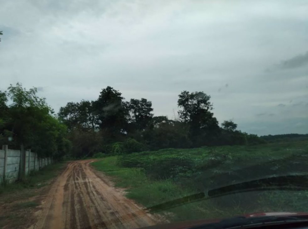 ขายที่ดินทำนาและทำสวน-19ไร่-ราคาไร่ละ99000บาท