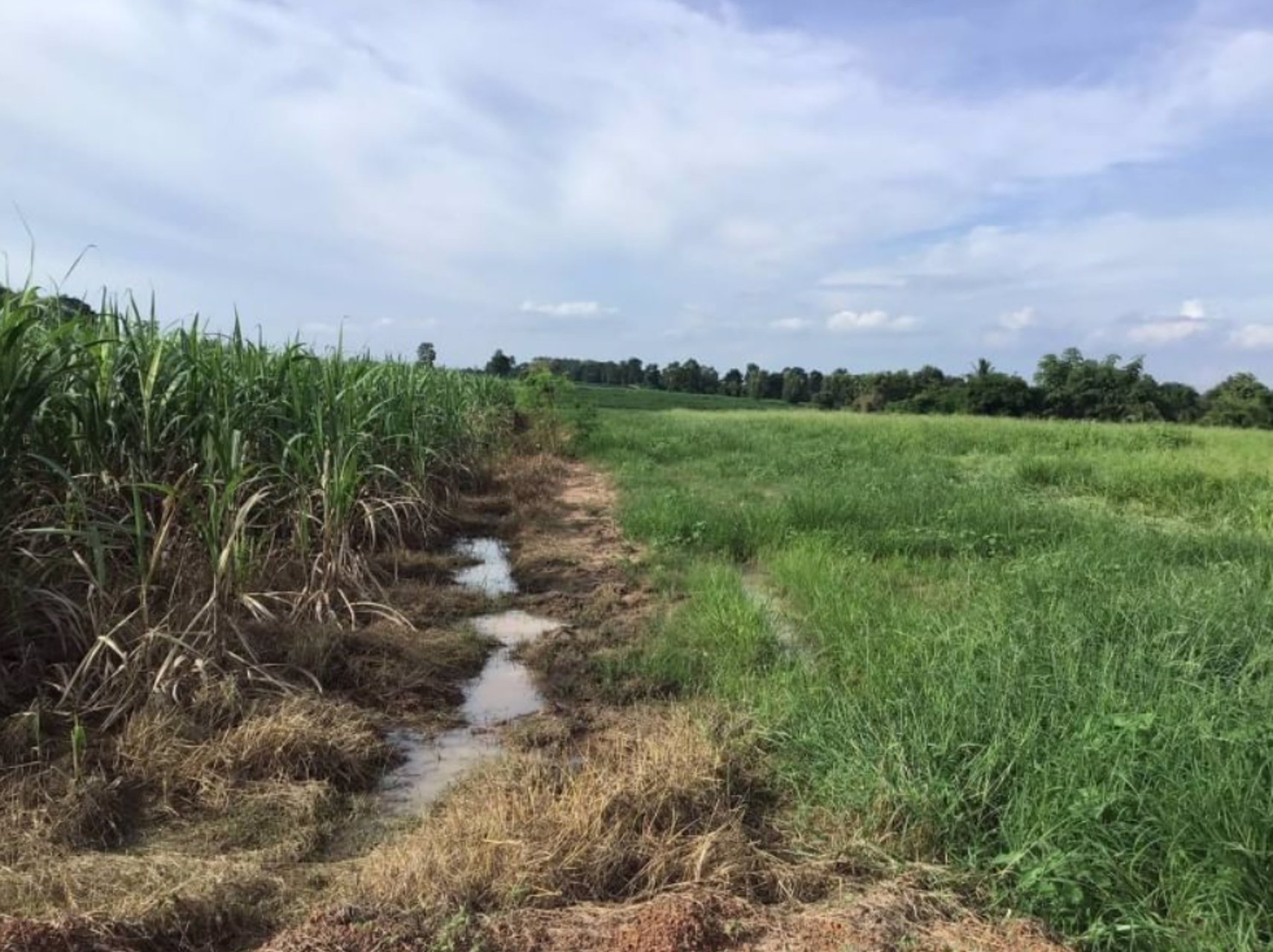 ขายที่ดินทำการเกษตร-22ไร่-3งาน-04ตรว
