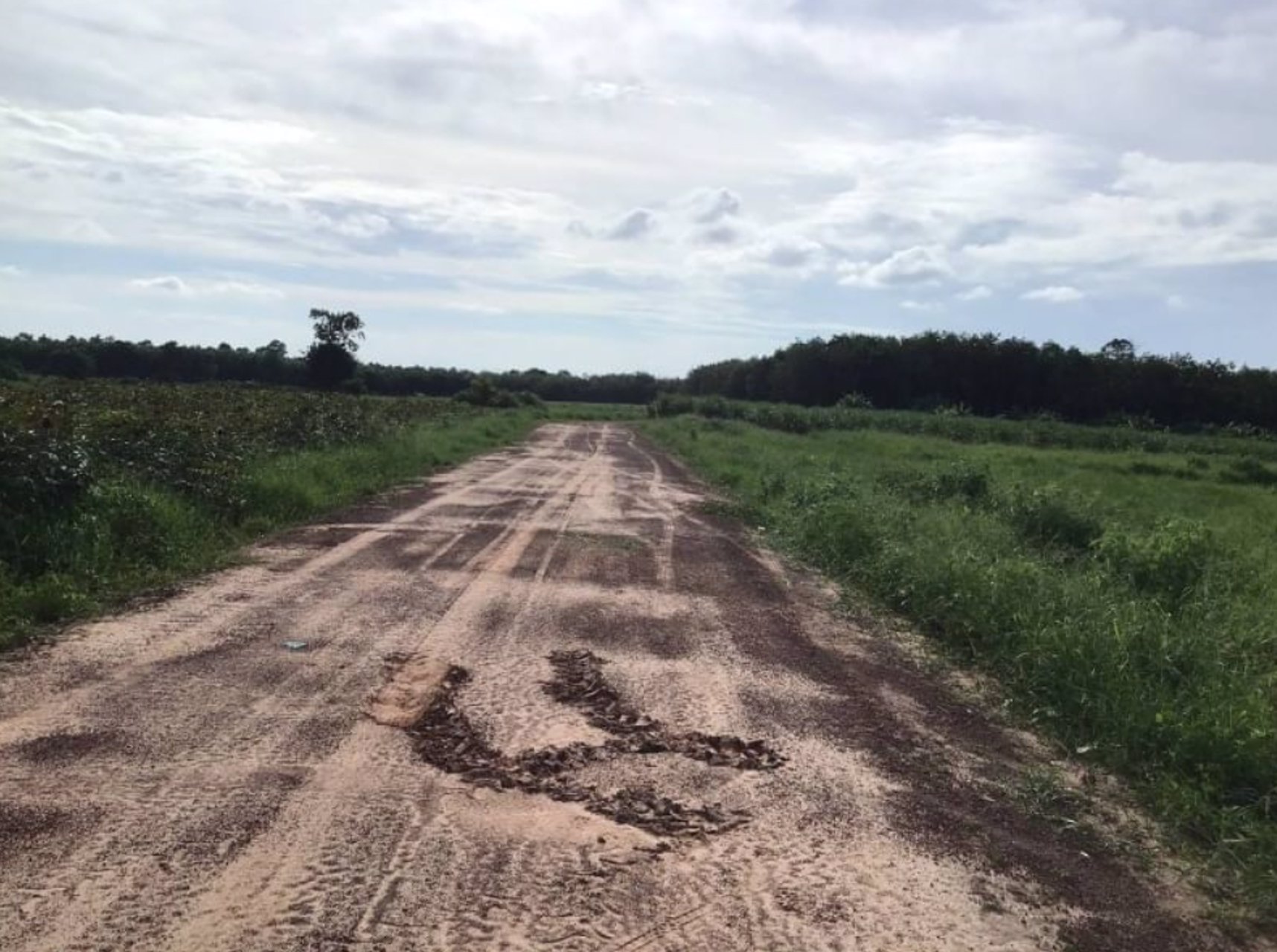 ขายที่ดินทำการเกษตร-22ไร่-3งาน-04ตรว