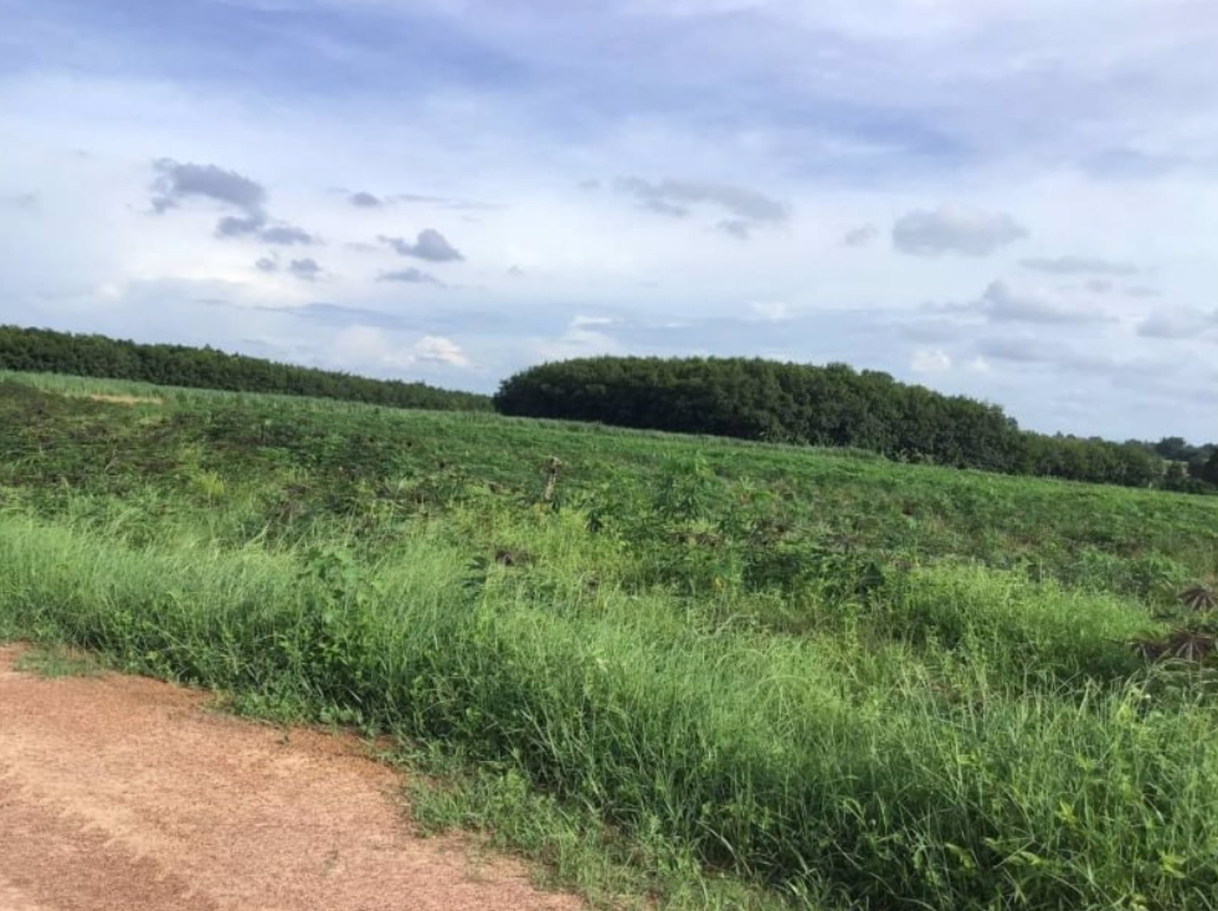 ขายที่ดินทำการเกษตร-22ไร่-3งาน-04ตรว