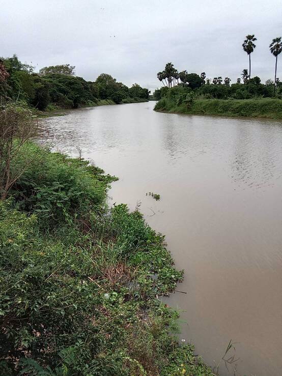 ขายที่ดิน-ติดแม่น้ำท่าจีน-อำเภอเดิมบาง-จังหวัดสุพรรณบุรี