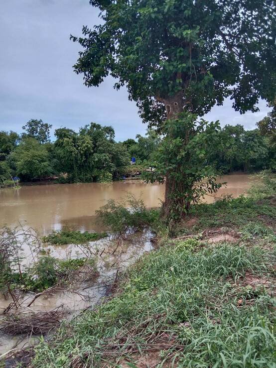 ขายที่ดิน-ติดแม่น้ำท่าจีน-อำเภอเดิมบาง-จังหวัดสุพรรณบุรี