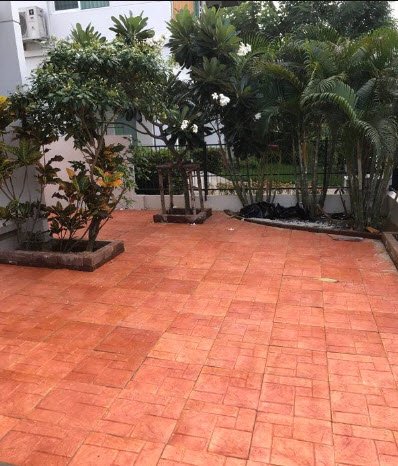 ให้เช่าบ้านเดี่ยว-2-ชั้น-ม-พฤกษ์ลดา-สุวรรณภูมิ-ลาดกระบัง-54-เนื้อที่-50-ตรว-3-ห้องนอน