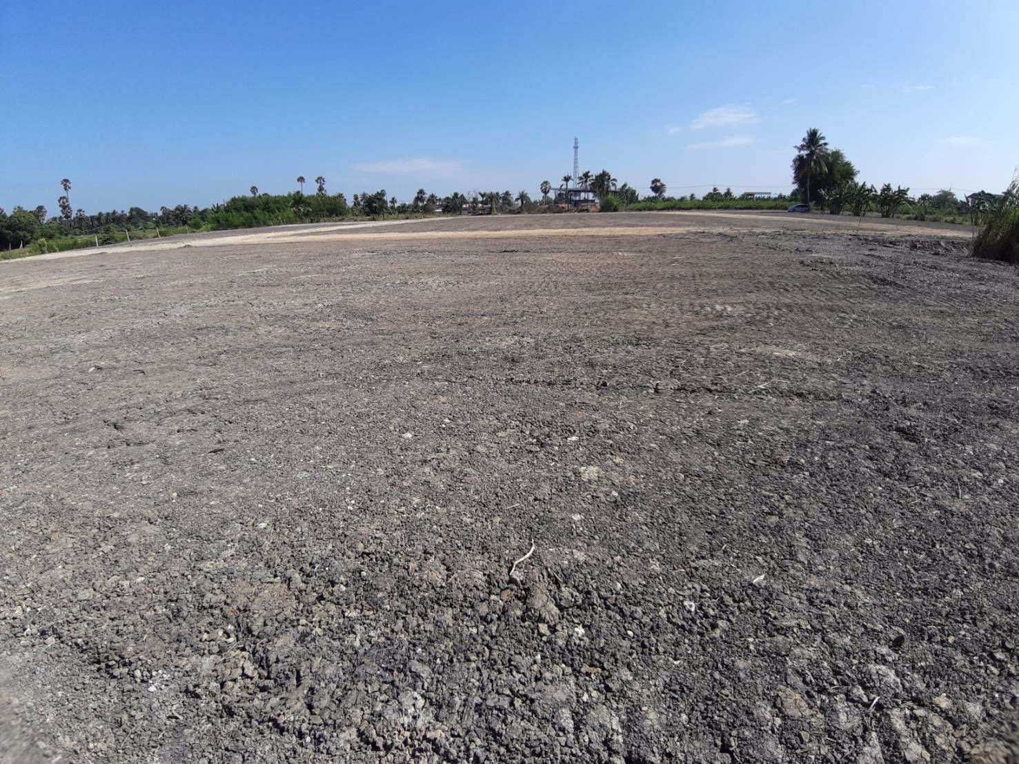 ขาย-ที่ดิน-เปล่า-12-ไร่-แบ่งขาย-ตารางวาละ-12000-บาท