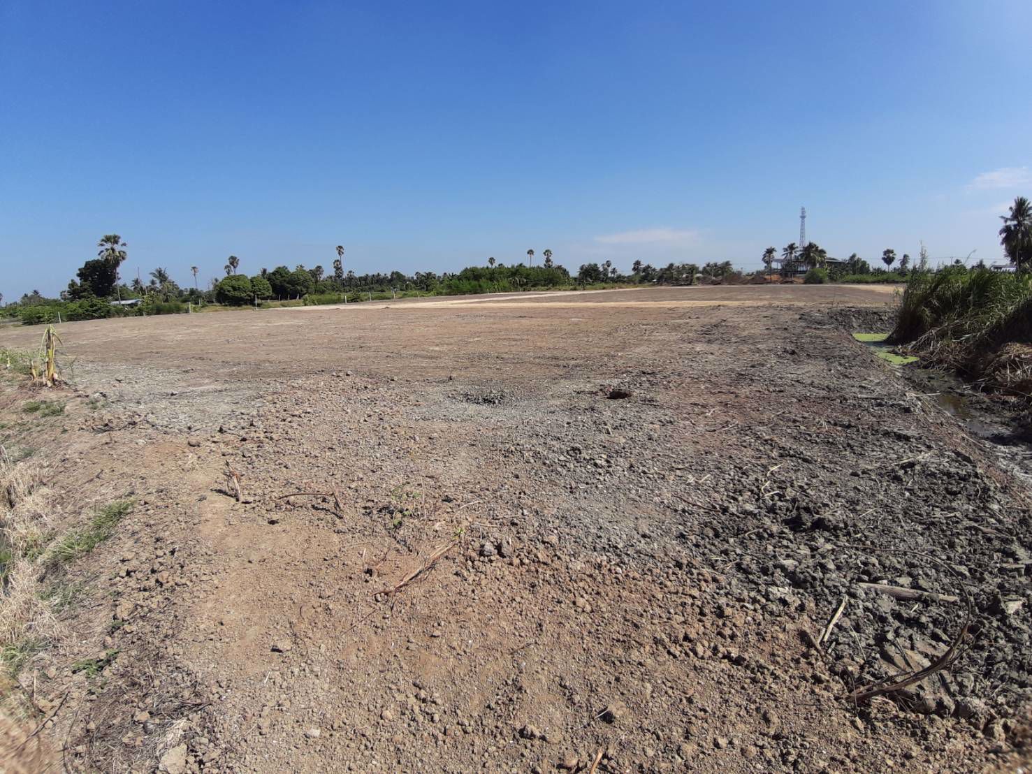 ขาย-ที่ดิน-เปล่า-12-ไร่-แบ่งขาย-ตารางวาละ-12000-บาท