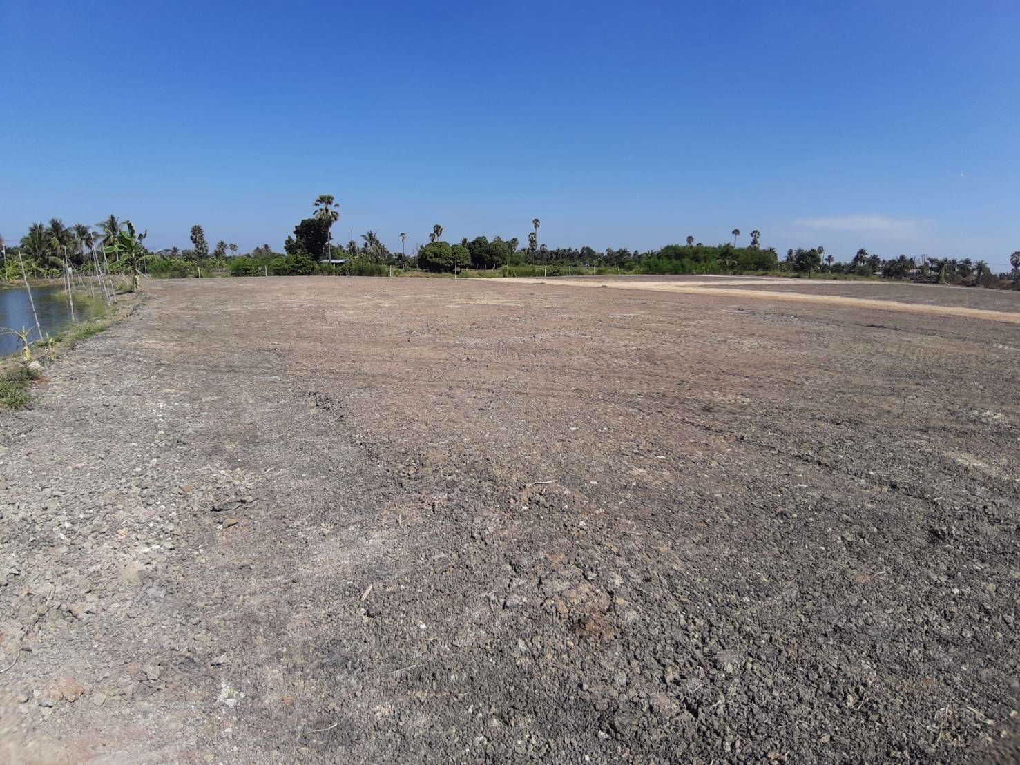 ขาย-ที่ดิน-เปล่า-12-ไร่-แบ่งขาย-ตารางวาละ-12000-บาท