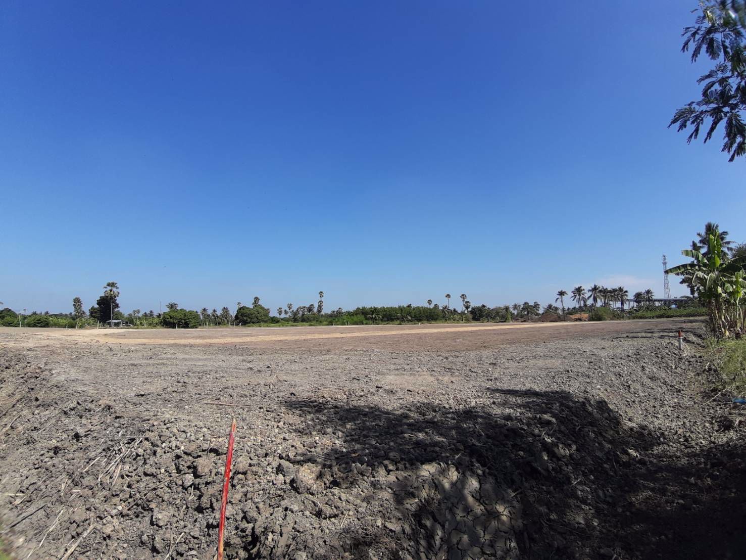 ขาย-ที่ดิน-เปล่า-12-ไร่-แบ่งขาย-ตารางวาละ-12000-บาท