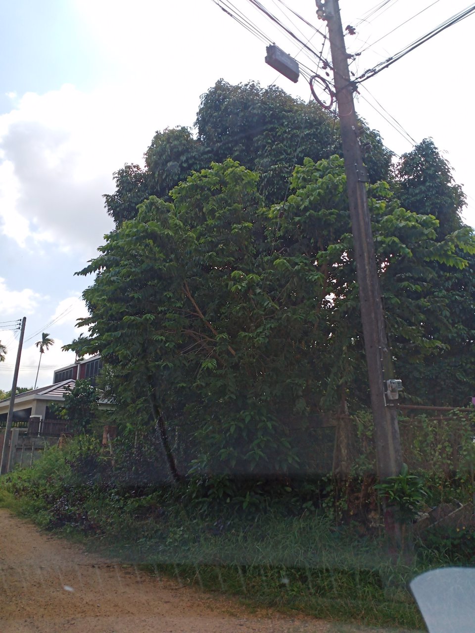 ขายที่ดิน-เนื้อที่-24110-ตารางวา-ซอยควนสันติ5-หาดใหญ่-สงขลา