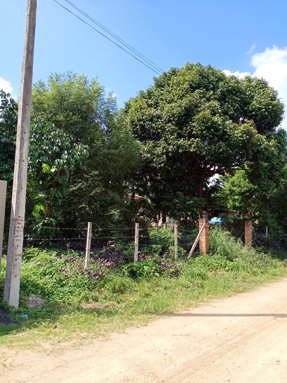 ขายที่ดิน-เนื้อที่-24110-ตารางวา-ซอยควนสันติ5-หาดใหญ่-สงขลา