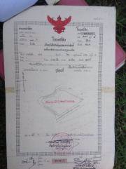 ขายบ้านพร้อมที่ดิน-วัดสิงห์-ชัยนาท-2-แปลง-30-ไร่-และ-25-ไร่-ทำเป็นกิจการโรงสี-ลานมัน-รับซื้อสินค้า