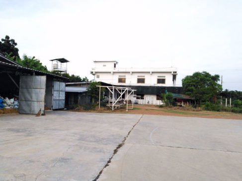 ขายบ้านพร้อมที่ดิน-วัดสิงห์-ชัยนาท-2-แปลง-30-ไร่-และ-25-ไร่-ทำเป็นกิจการโรงสี-ลานมัน-รับซื้อสินค้า