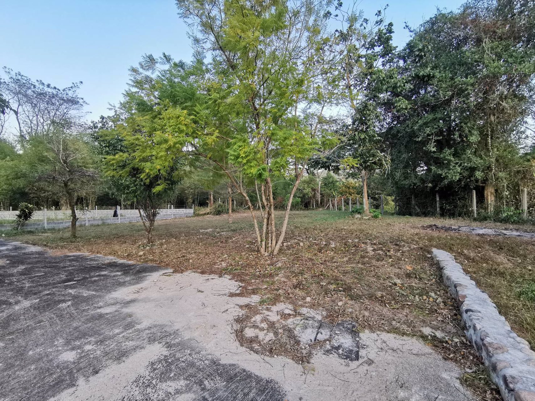 ขาย-ที่ดิน-วังรี-ถมแล้ว-ราคาถูก-ทำเลทอง-เมืองแห่งการท่องเที่ยว-ห่างใจกลางเมืองนครนายก