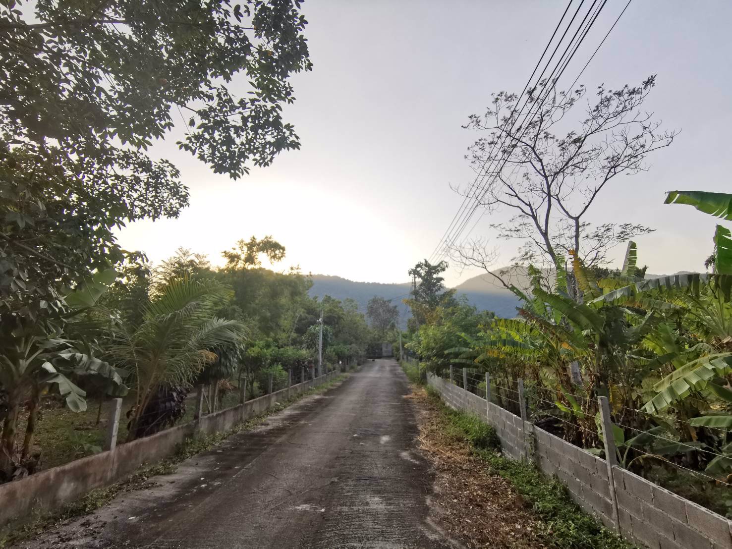 ขาย-ที่ดิน-วังรี-ถมแล้ว-ราคาถูก-ทำเลทอง-เมืองแห่งการท่องเที่ยว-ห่างใจกลางเมืองนครนายก