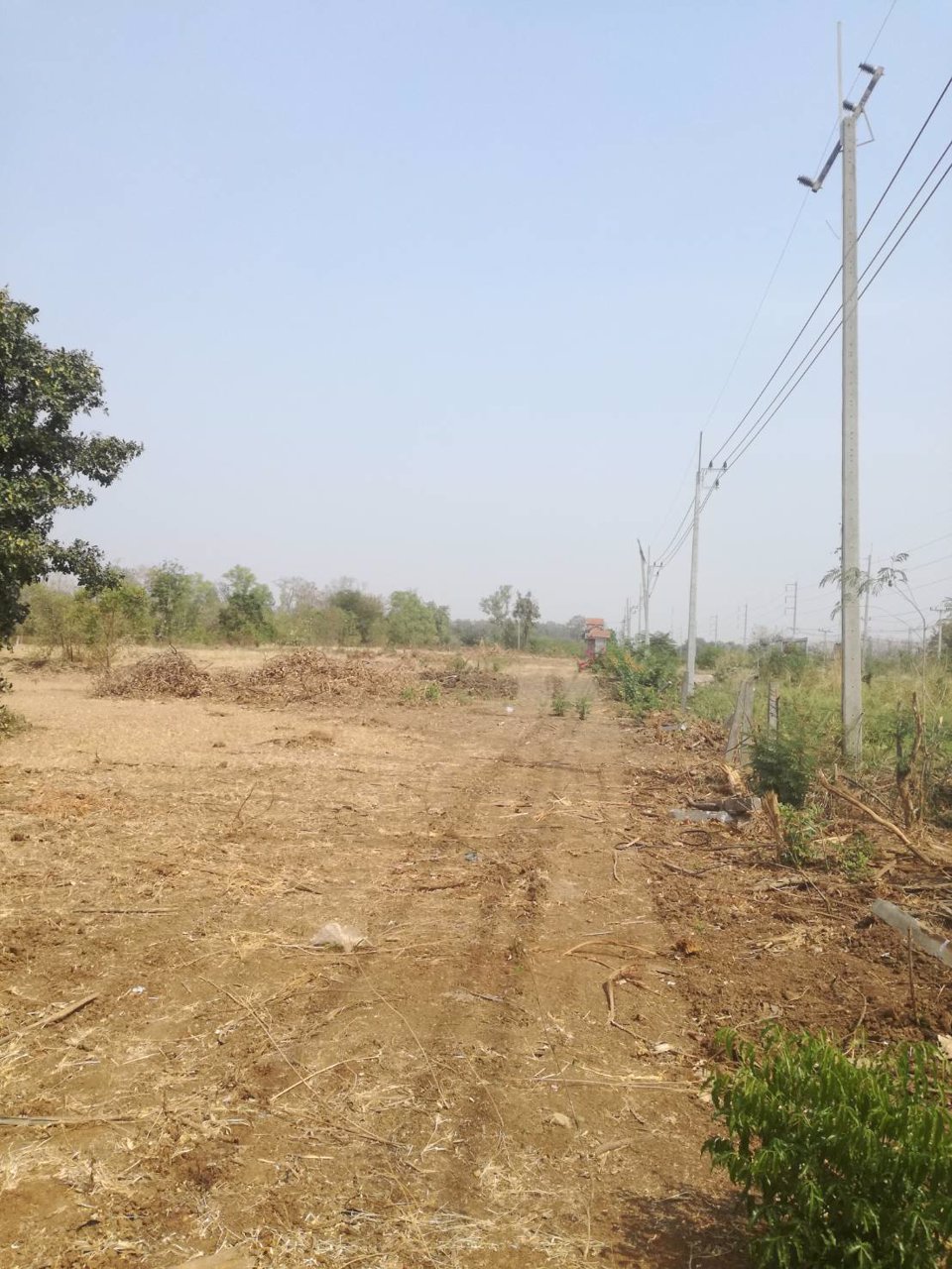 ขาย-ที่ดินเปล่า-2-แปลง-เหมาะแก่การสร้างอาคารพาณิชย์-หรือค้าขาย-โชคชัย-นครราชสีมา