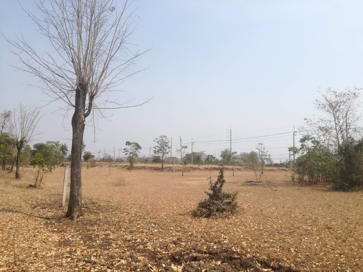 ขาย-ที่ดินเปล่า-2-แปลง-เหมาะแก่การสร้างอาคารพาณิชย์-หรือค้าขาย-โชคชัย-นครราชสีมา