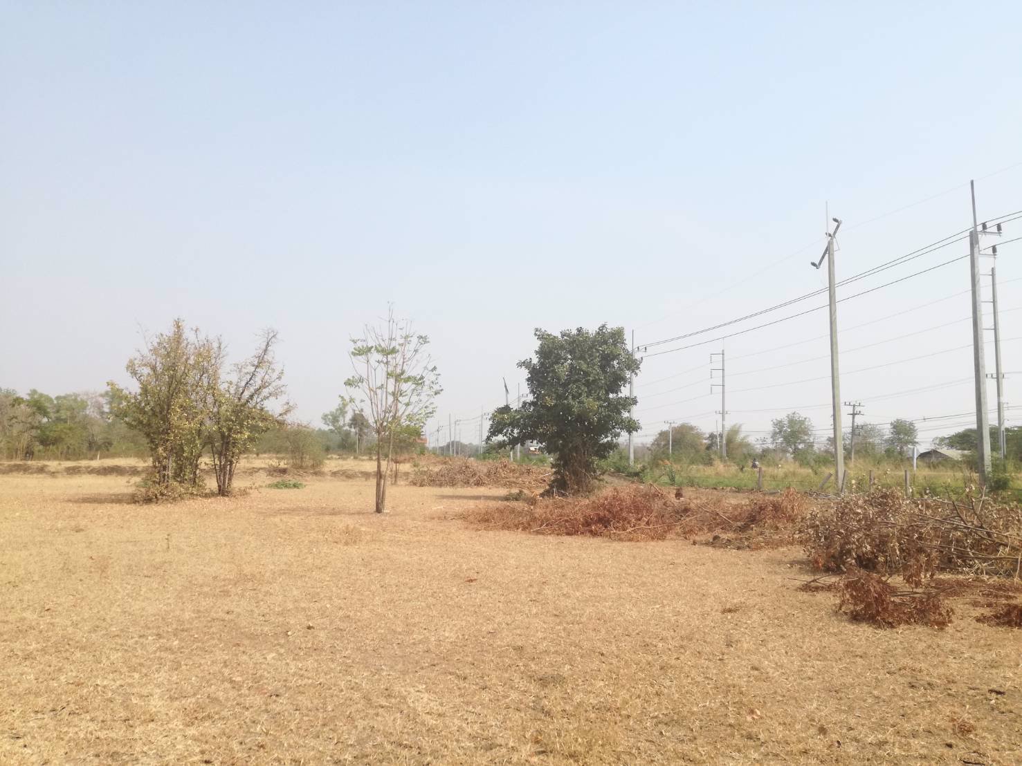 ขาย-ที่ดินเปล่า-2-แปลง-เหมาะแก่การสร้างอาคารพาณิชย์-หรือค้าขาย-โชคชัย-นครราชสีมา