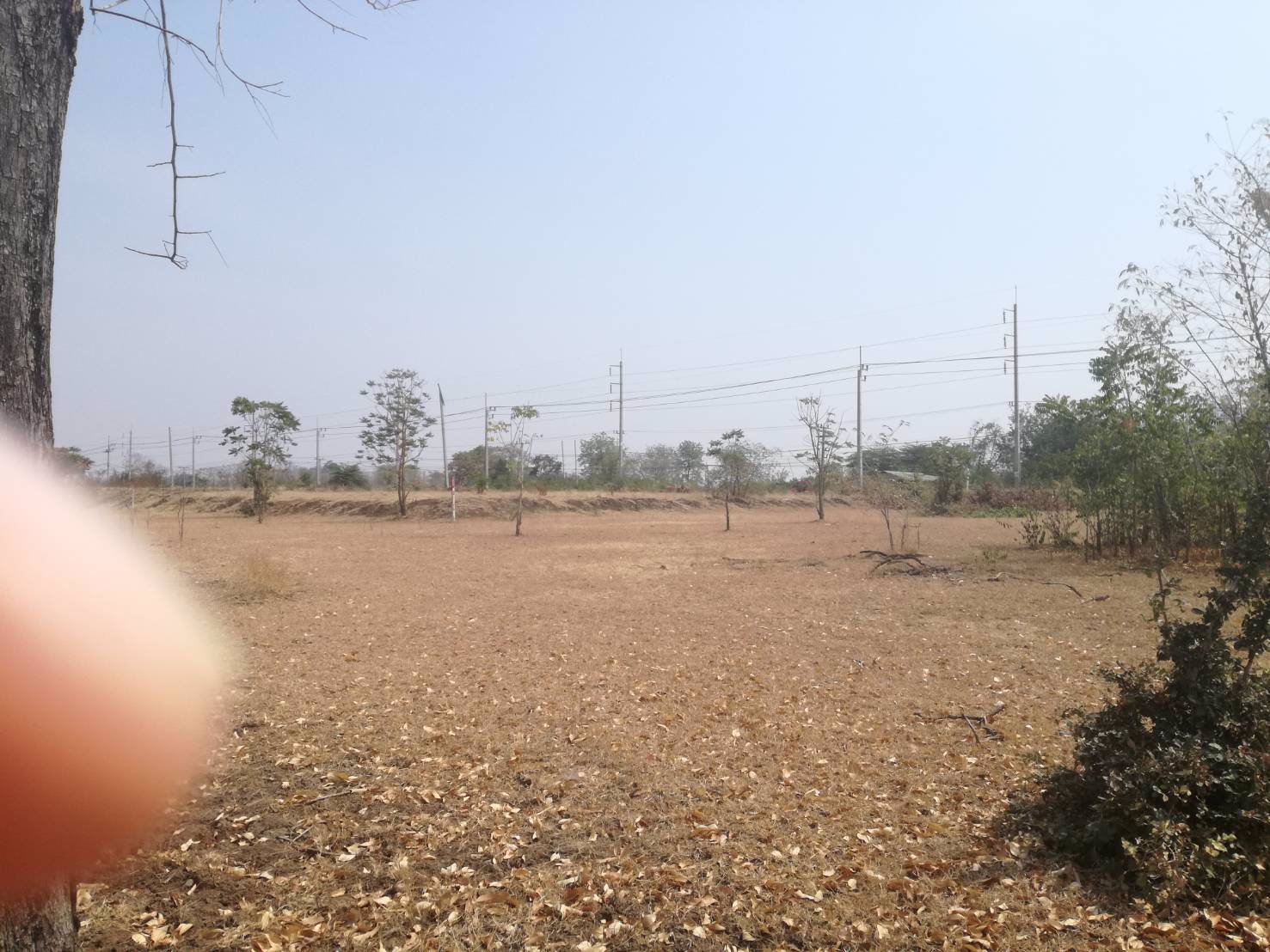 ขาย-ที่ดินเปล่า-2-แปลง-เหมาะแก่การสร้างอาคารพาณิชย์-หรือค้าขาย-โชคชัย-นครราชสีมา