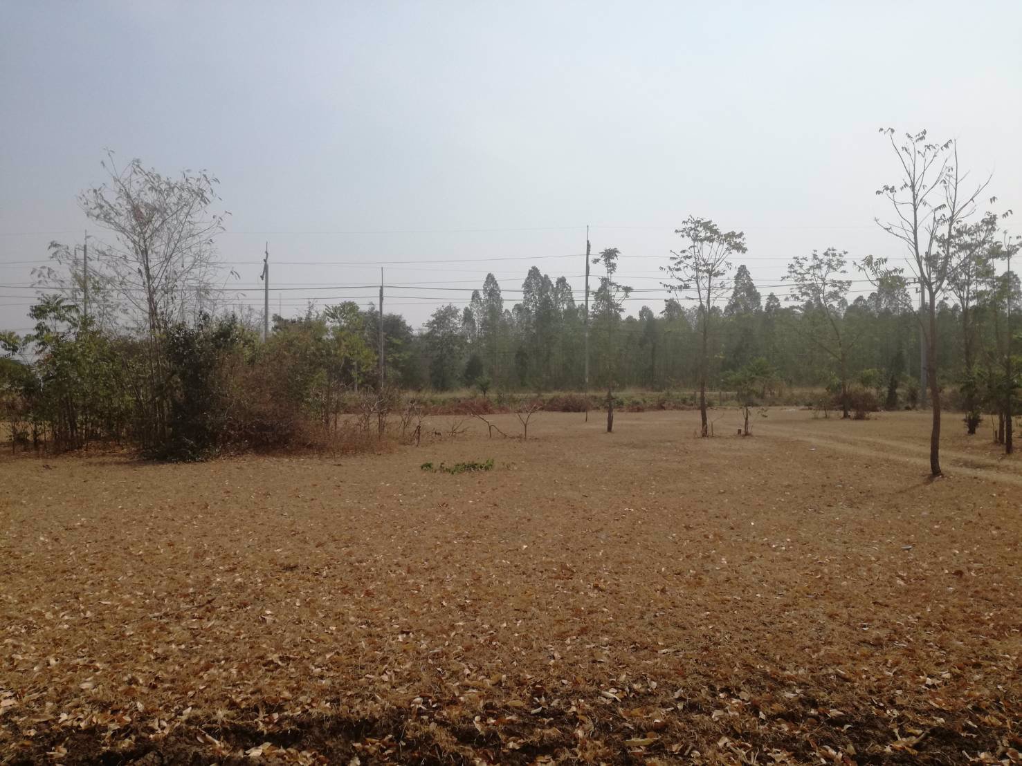 ขาย-ที่ดินเปล่า-2-แปลง-เหมาะแก่การสร้างอาคารพาณิชย์-หรือค้าขาย-โชคชัย-นครราชสีมา