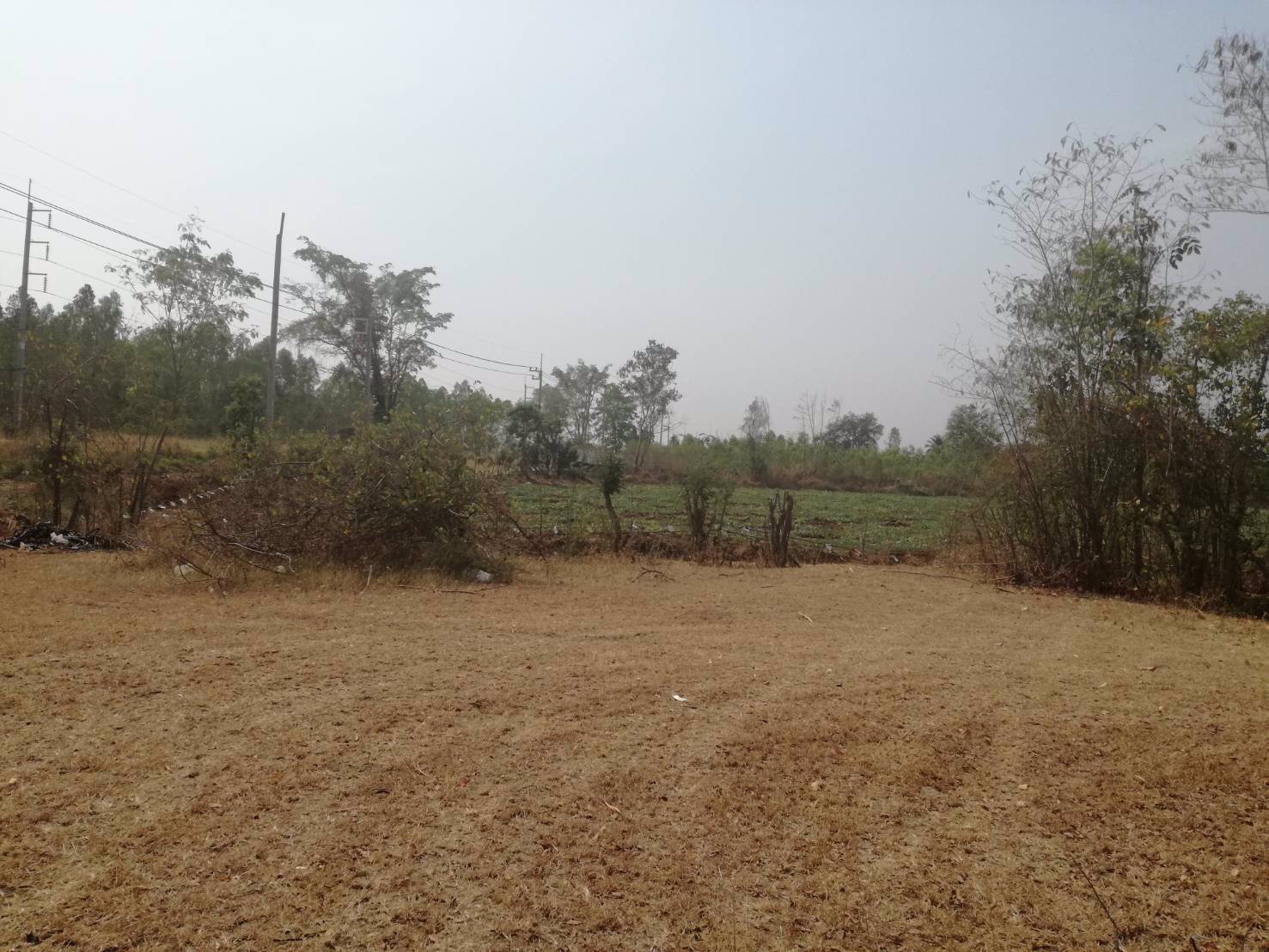 ขาย-ที่ดินเปล่า-2-แปลง-เหมาะแก่การสร้างอาคารพาณิชย์-หรือค้าขาย-โชคชัย-นครราชสีมา