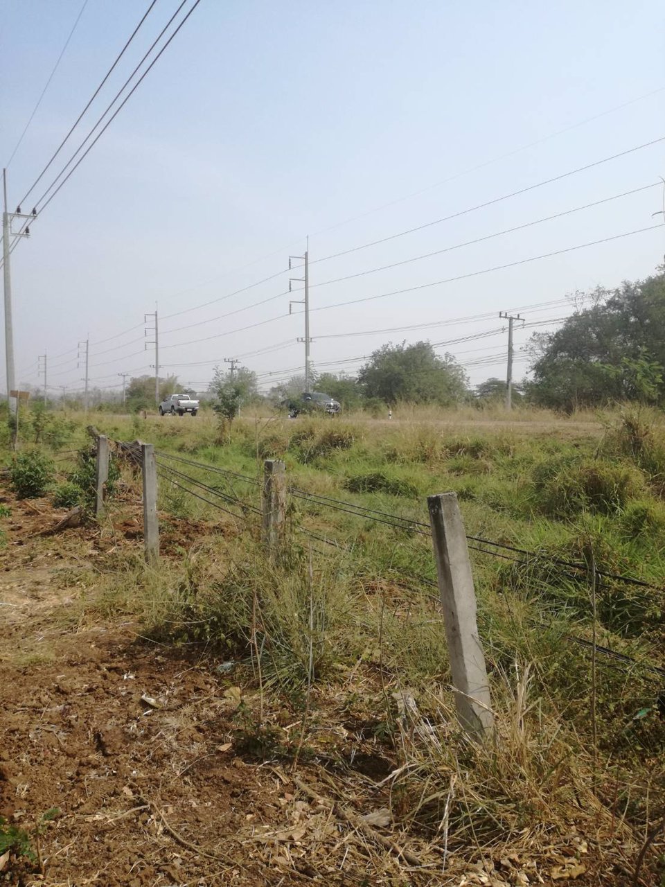 ขาย-ที่ดินเปล่า-2-แปลง-เหมาะแก่การสร้างอาคารพาณิชย์-หรือค้าขาย-โชคชัย-นครราชสีมา