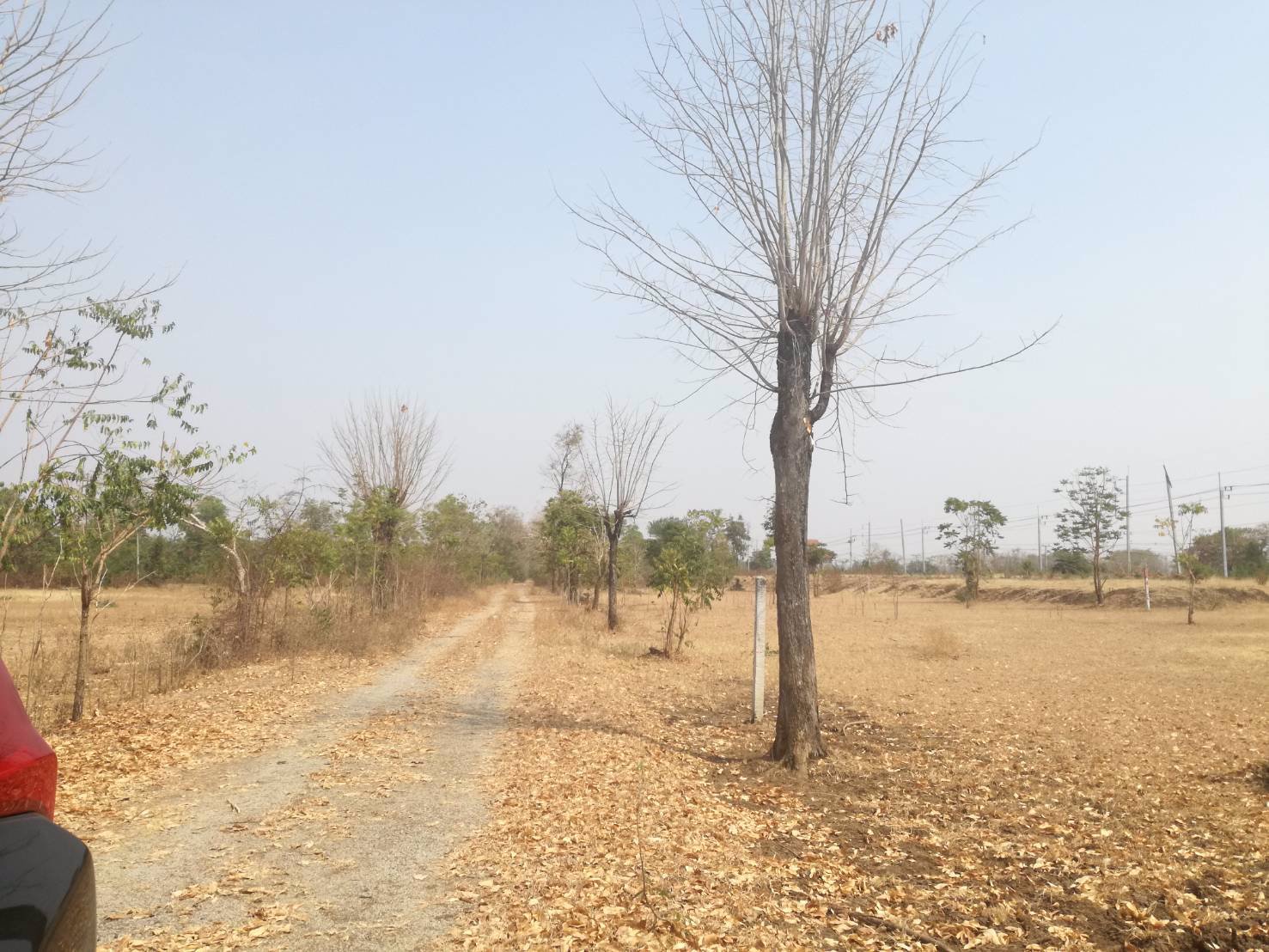 ขาย-ที่ดินเปล่า-2-แปลง-เหมาะแก่การสร้างอาคารพาณิชย์-หรือค้าขาย-โชคชัย-นครราชสีมา