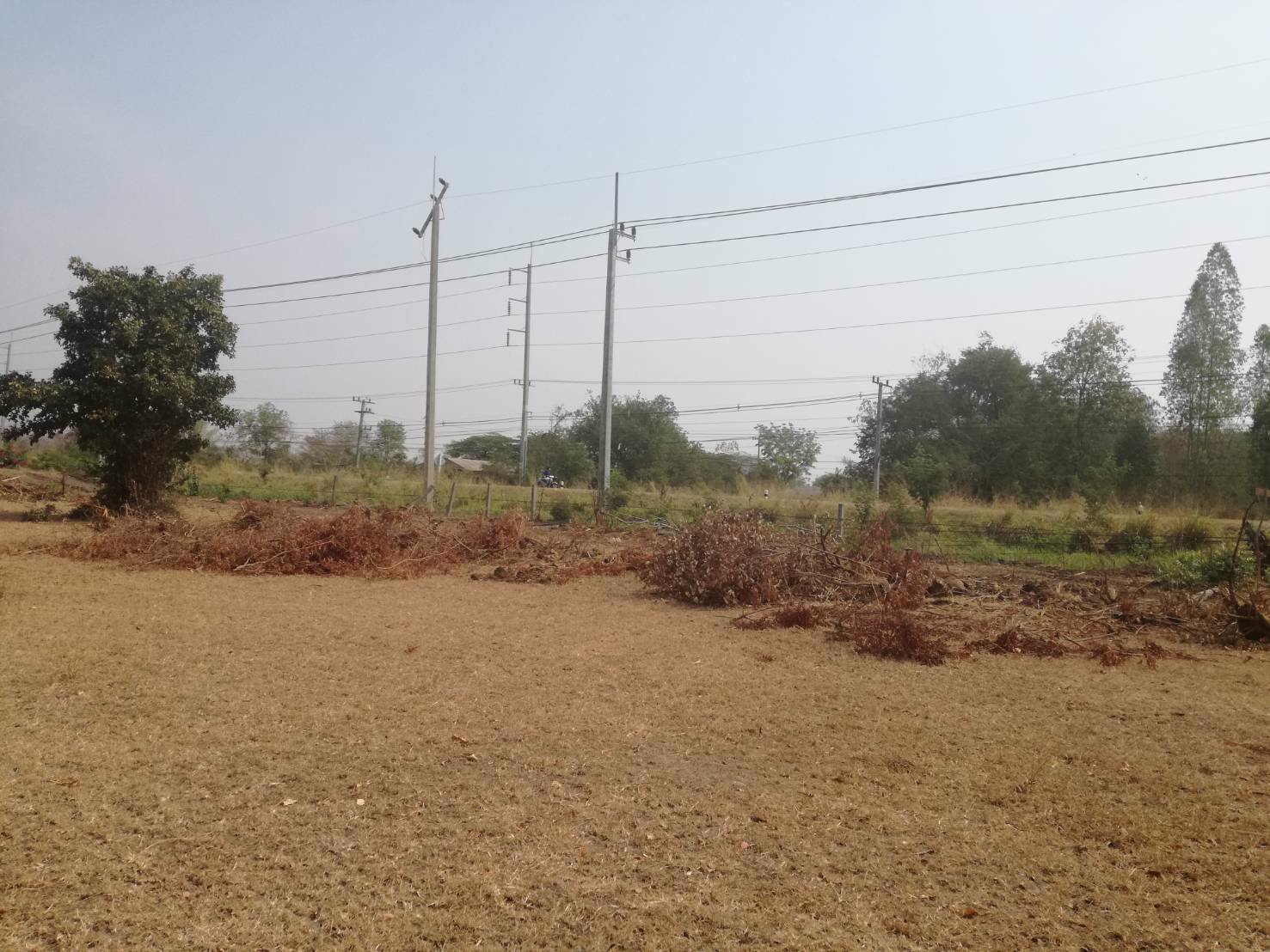 ขาย-ที่ดินเปล่า-2-แปลง-เหมาะแก่การสร้างอาคารพาณิชย์-หรือค้าขาย-โชคชัย-นครราชสีมา