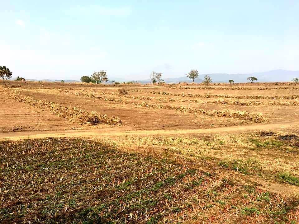 แบ่งขาย-ที่ดินเปล่า-เนื้อที่-78-ไร่-ราคาขายขั้นต่ำ-2200-บาท-ต่อตรว-แม่จัน-เชียงราย