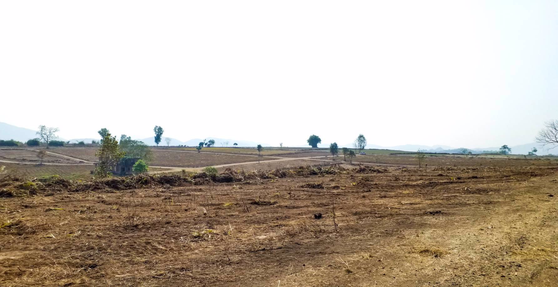 แบ่งขาย-ที่ดินเปล่า-เนื้อที่-78-ไร่-ราคาขายขั้นต่ำ-2200-บาท-ต่อตรว-แม่จัน-เชียงราย