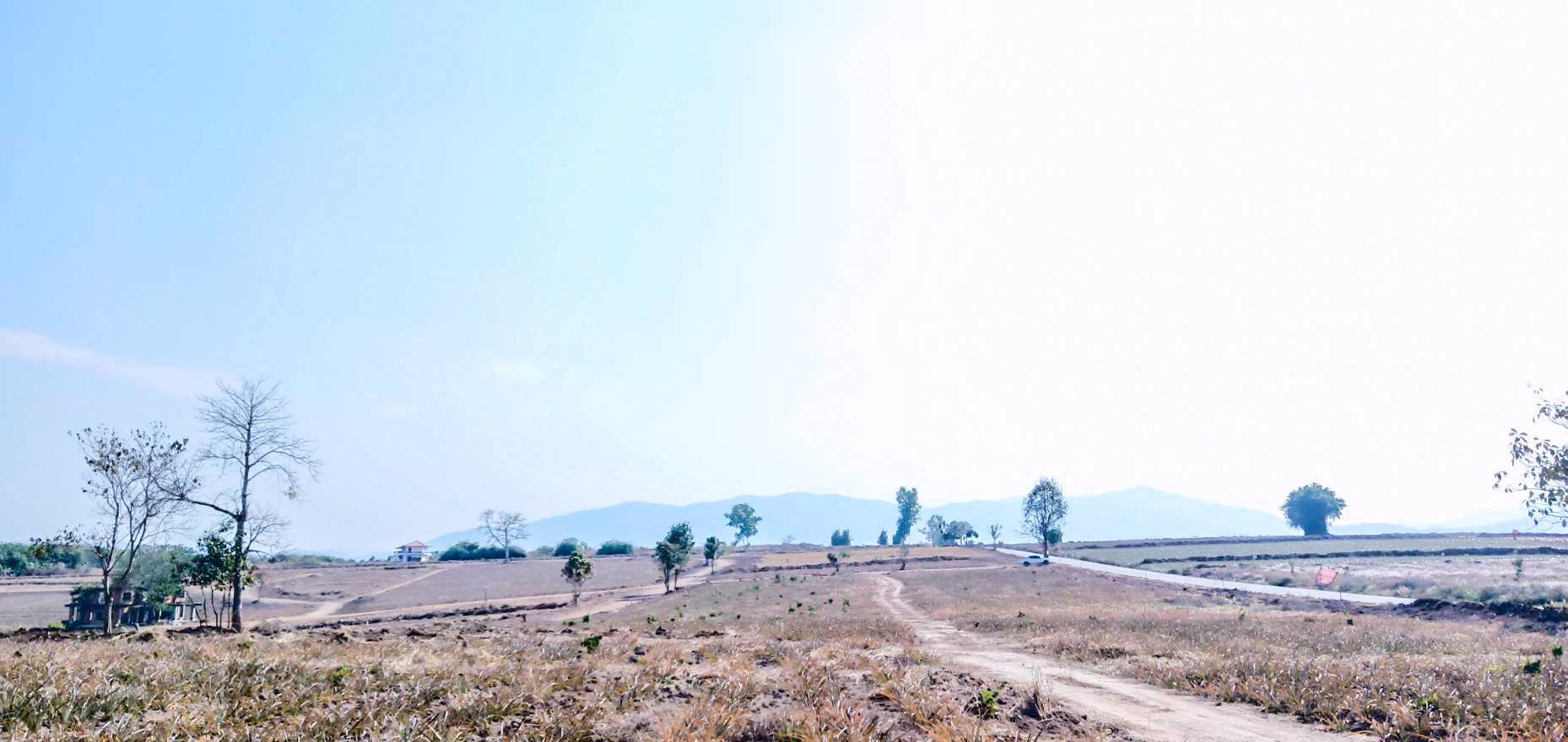 แบ่งขาย-ที่ดินเปล่า-เนื้อที่-78-ไร่-ราคาขายขั้นต่ำ-2200-บาท-ต่อตรว-แม่จัน-เชียงราย