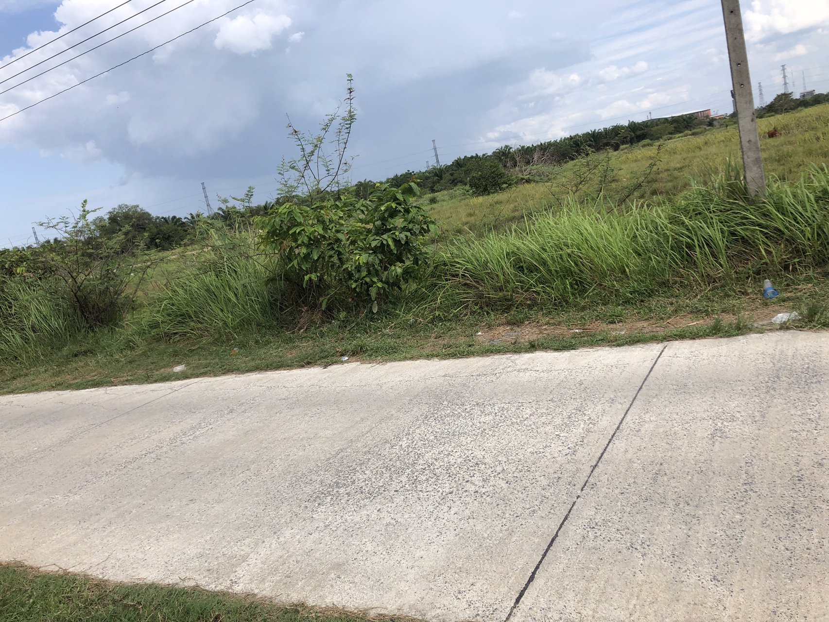 ขาย-ให้เช่า-ที่ดินติดทะเล-สวยมาก-น้ำเป็นธรรมชาติ-สีชล-นครศรีธรรมราช