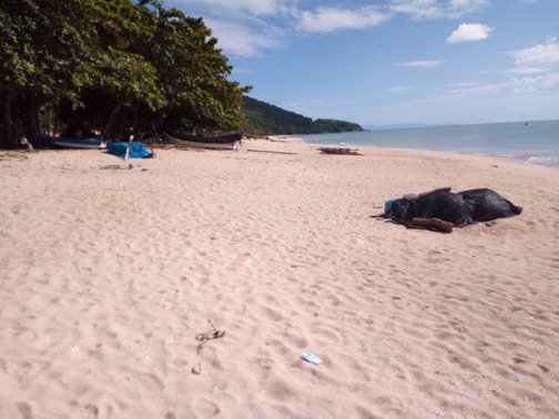 ขาย-ให้เช่า-ที่ดินติดทะเล-สวยมาก-น้ำเป็นธรรมชาติ-สีชล-นครศรีธรรมราช