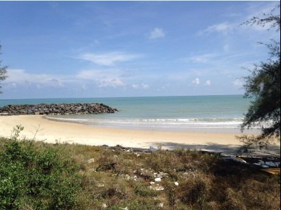 ขาย-ให้เช่า-ที่ดินติดทะเล-สวยมาก-น้ำเป็นธรรมชาติ-สีชล-นครศรีธรรมราช