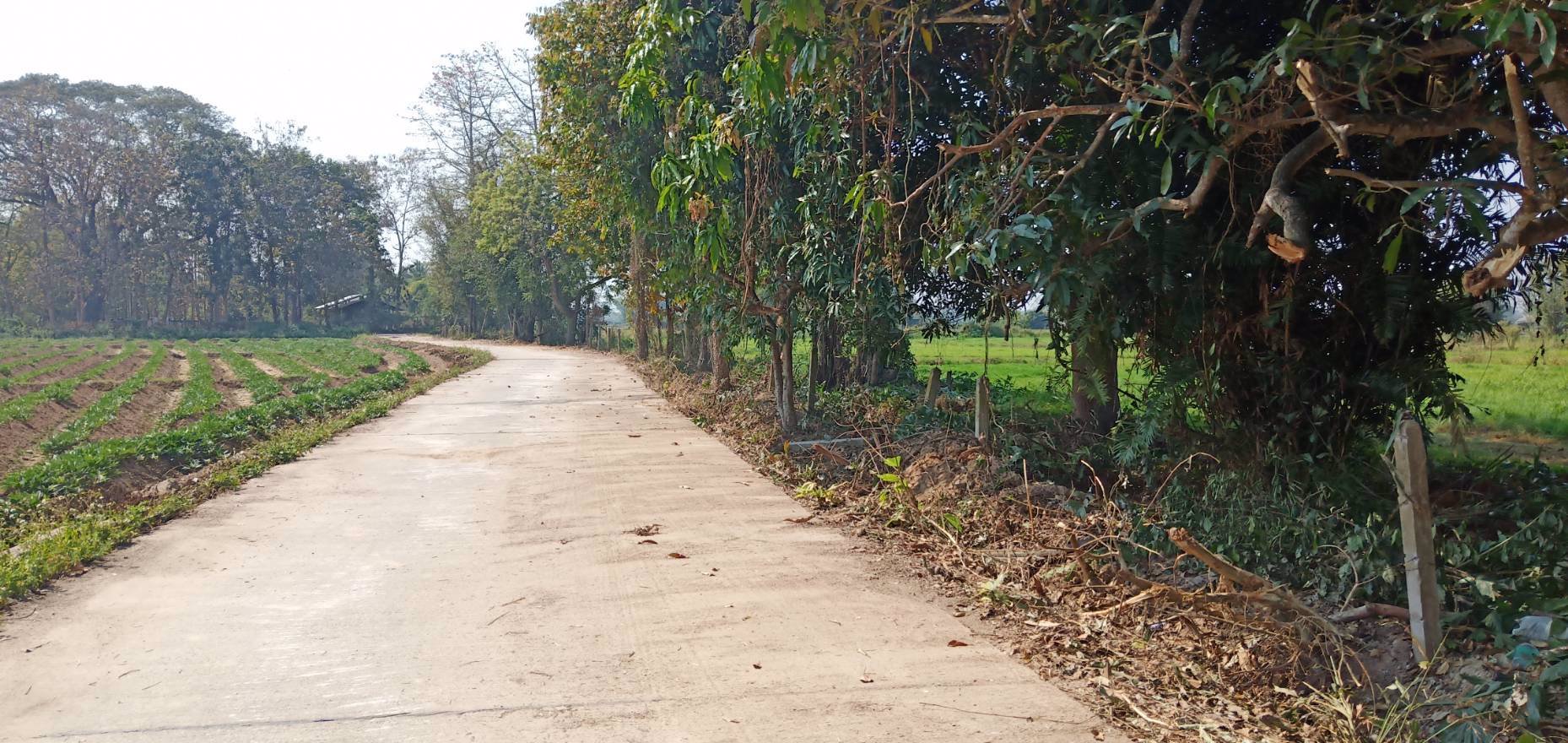 ที่ดินแบ่ง-ขาย-140-ตารางวา-ติดถนนดำ-สันทราย-เชียงใหม่-ถูกสุดๆ