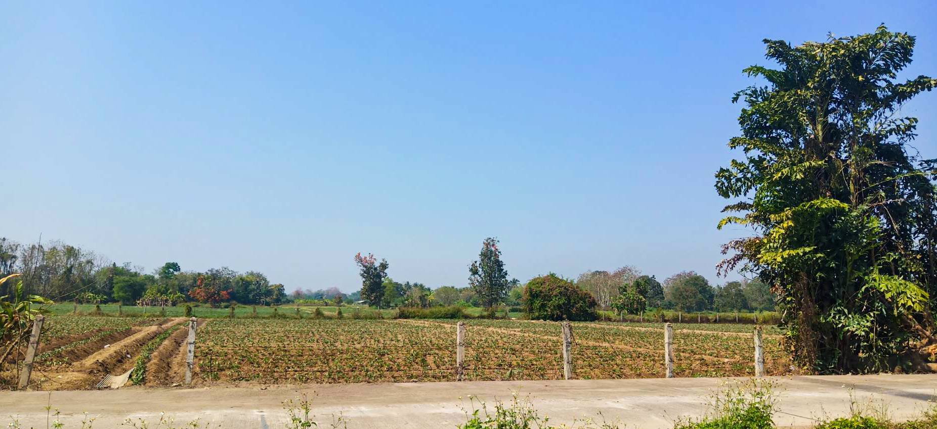 ที่ดินแบ่ง-ขาย-140-ตารางวา-ติดถนนดำ-สันทราย-เชียงใหม่-ถูกสุดๆ