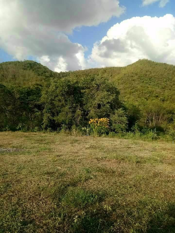 ขายที่ดิน-5-ไร่-10-ตรว-ติดโครงการแสงจันทร์รีสอร์ท-แก่งกระจาน-เพชรบุรี-เจ้าของขายเอง