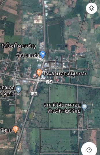 ขาย-ที่ดิน-21-ไร่-ติดถนนดำ-โครงการก่อสร้างทางหลวง-348-ปะคำ-บุรีรัมย์