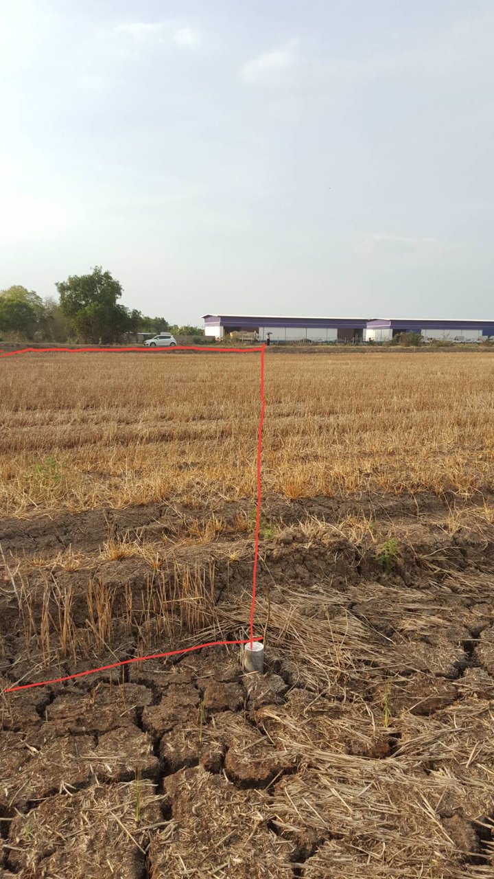 ขาย-ที่ดินเปล่าถมแล้ว-2-ไร่-ลำลูกกา-ปทุมธานี