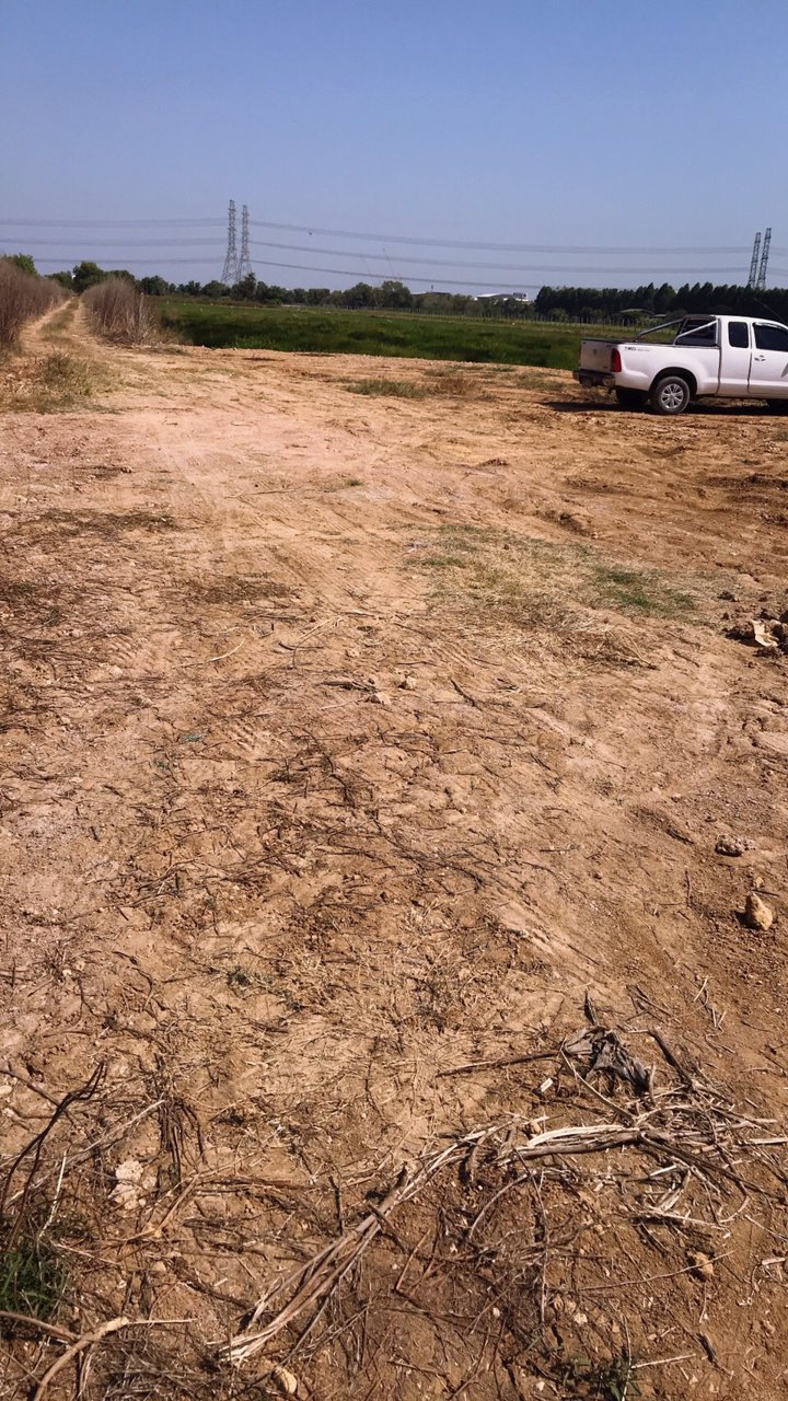 ขาย-ที่ดินเปล่าถมแล้ว-2-ไร่-ลำลูกกา-ปทุมธานี