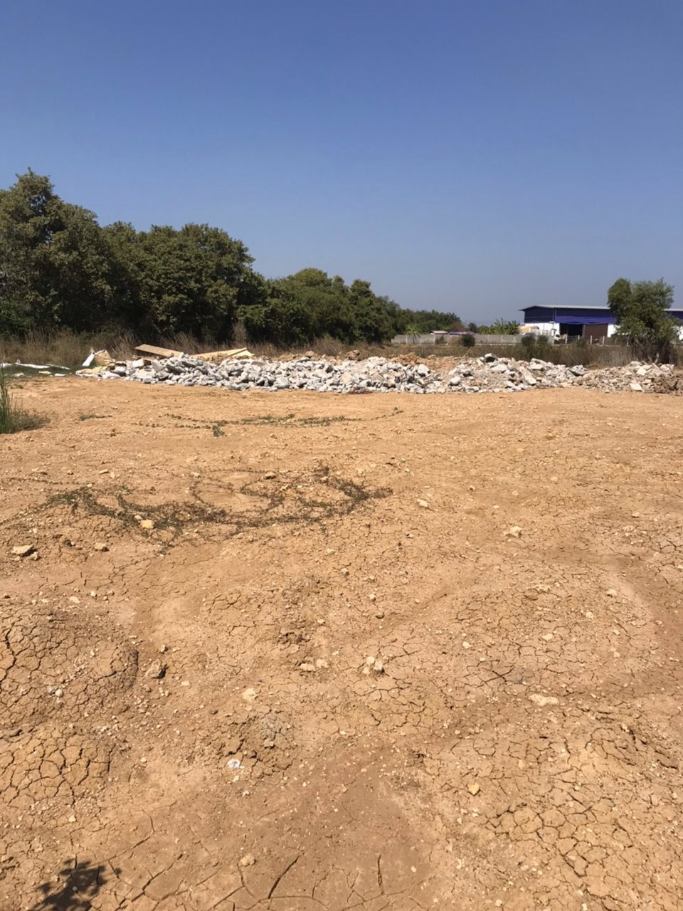 ขาย-ที่ดินเปล่าถมแล้ว-2-ไร่-ลำลูกกา-ปทุมธานี