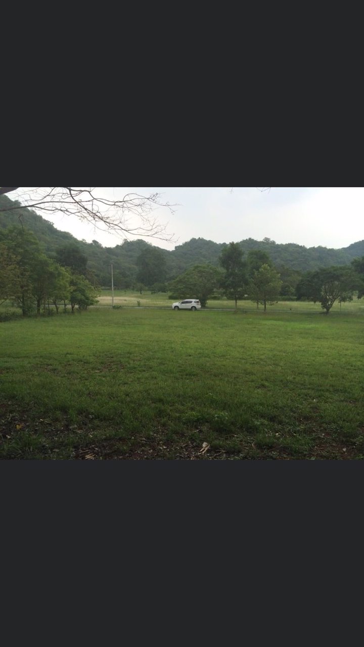 ขายที่ดิน-1-ไร่-ตำบลหนองน้ำแดง-อำเภอปากช่อง-นครราชสีมา